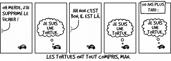 C'est toi la tortue !