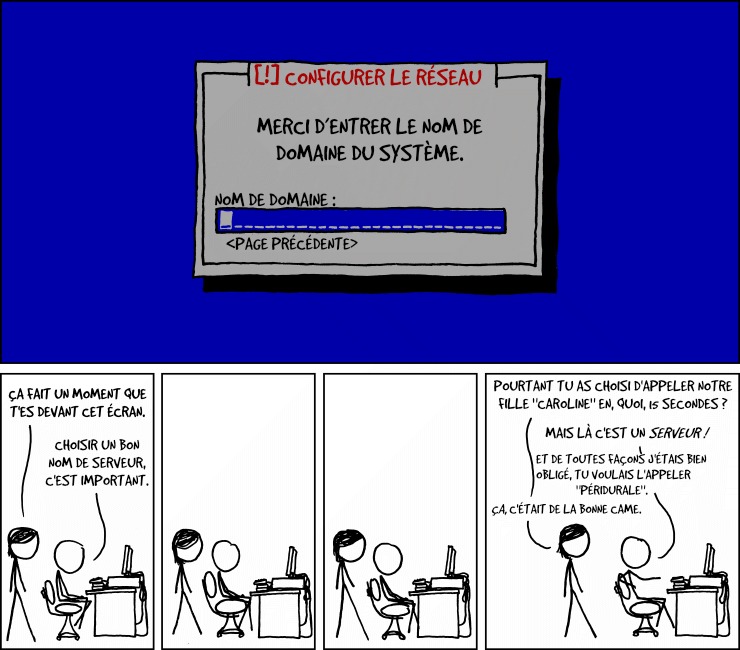 Ce nom de domaine va être inscrit dans des douzaines de fichiers de configuration à distance. Changer le nom d’un gosse est facile, en comparaison.